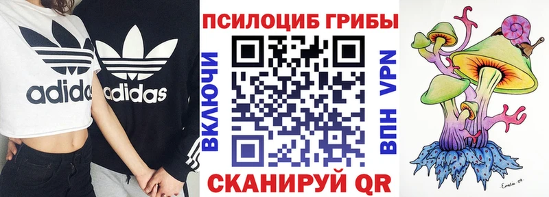 Псилоцибиновые грибы мухоморы  Полевской 